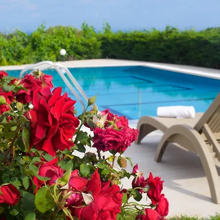 别墅 艾罗尼亚别墅 *