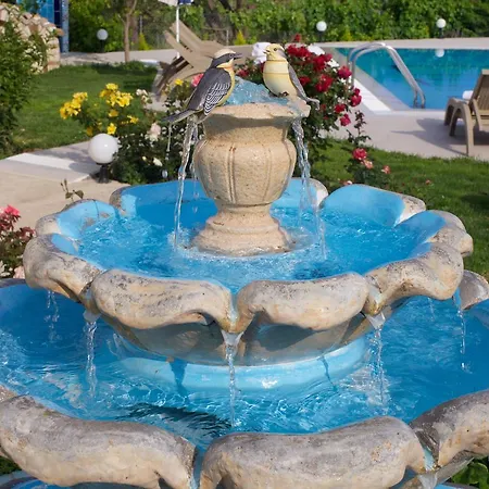 艾罗尼亚别墅 *