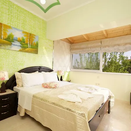 Villa Alonia Skala (Kefalonia)